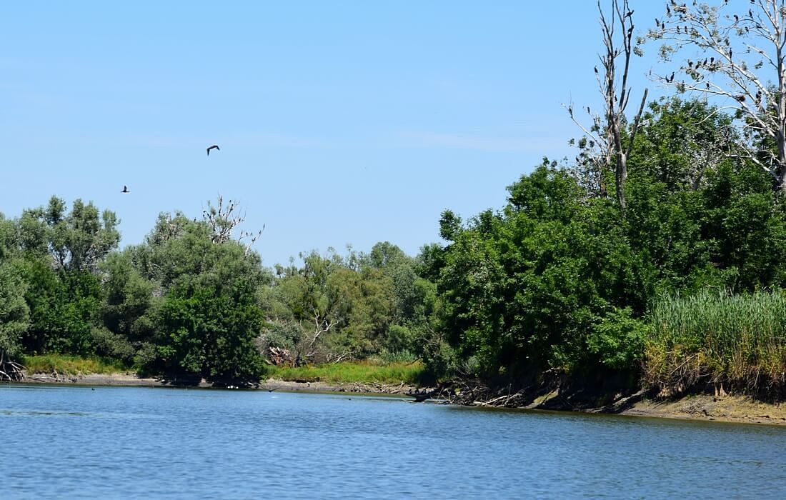 Preserved wetland of Kopacki Rit